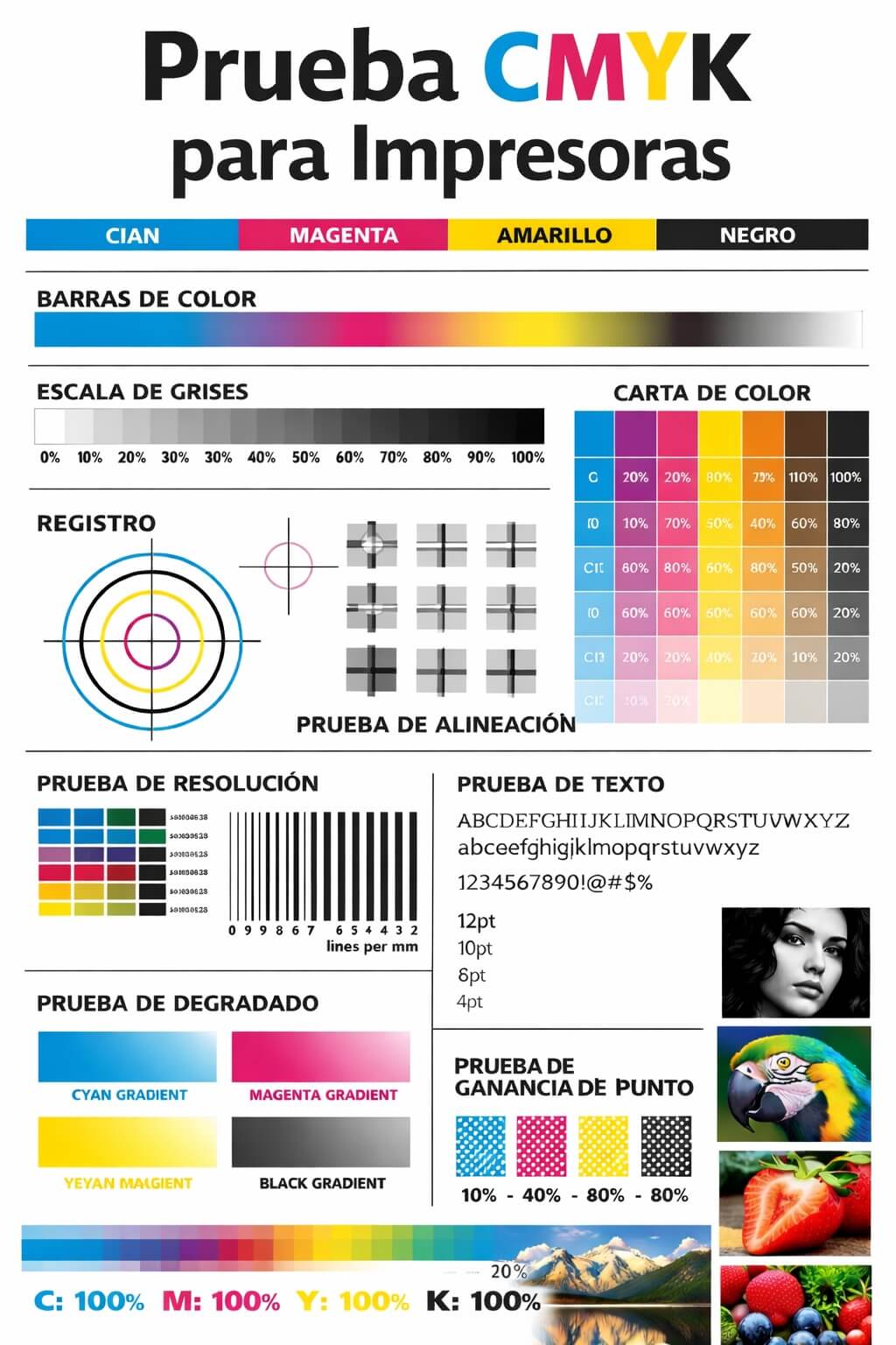 Prueba CMYK para Impresoras